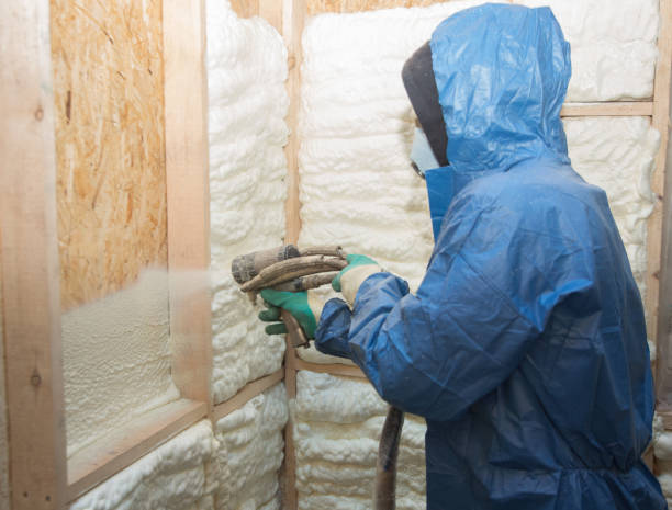 Best Attic Insulation Installation  in Lindsay, OK